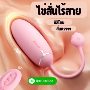 ไข่สั่นไร้สาย Mizzee พร้อมรีโมทควบคุม